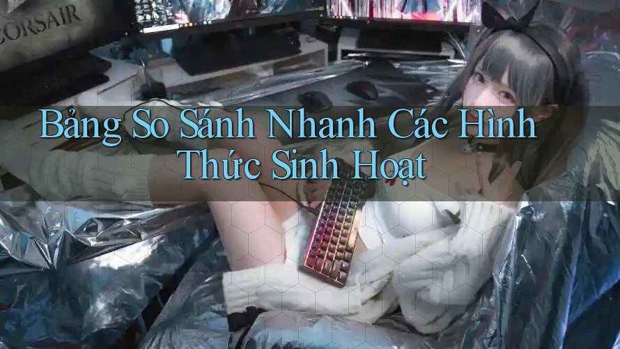 Bảng So Sánh Nhanh Các Hình Thức Sinh Hoạt Bảng So Sánh Nhanh Các Hình Thức Sinh Hoạt