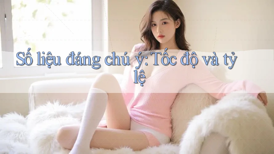 Số liệu đáng chú ý: Tốc độ và tỷ lệ Số liệu đáng chú ý: Tốc độ và tỷ lệ