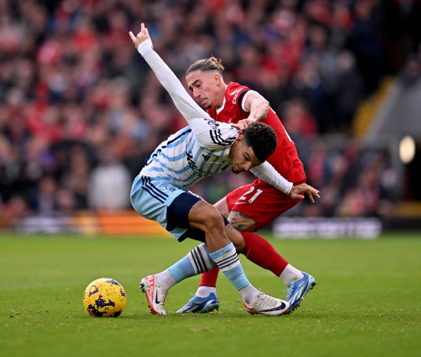 斯基近几年 斯基近几年